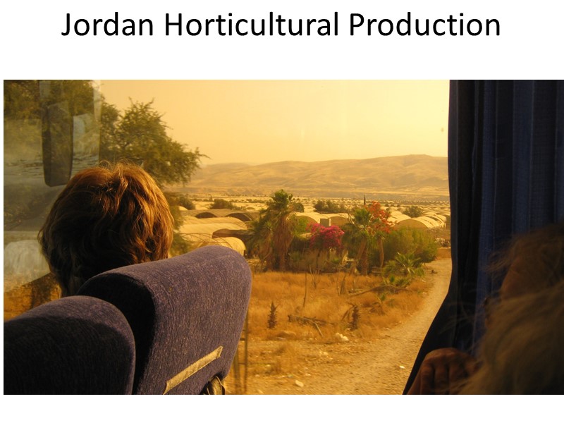 Jordan Horticultural Production